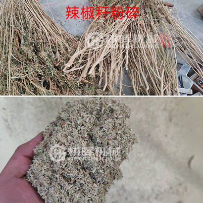 辣椒稈粉碎機辣椒桿
